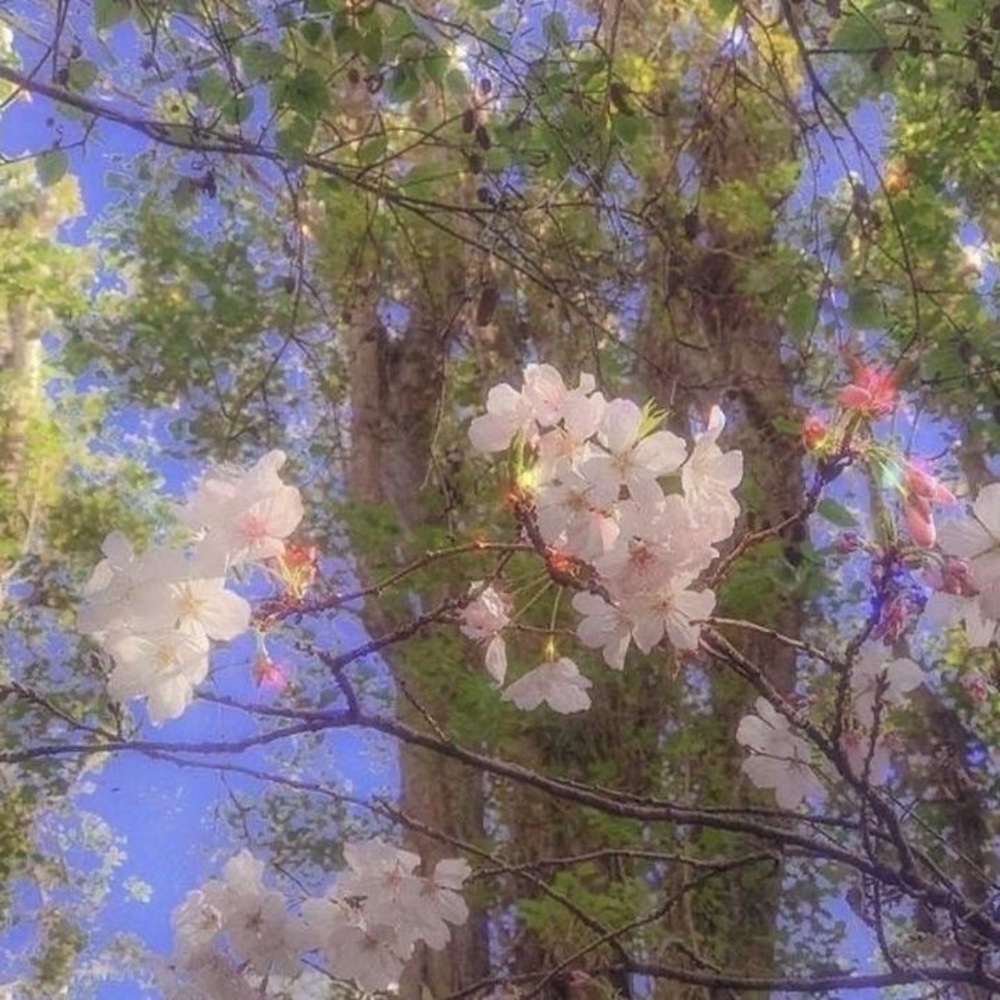 Welcome to my profile!